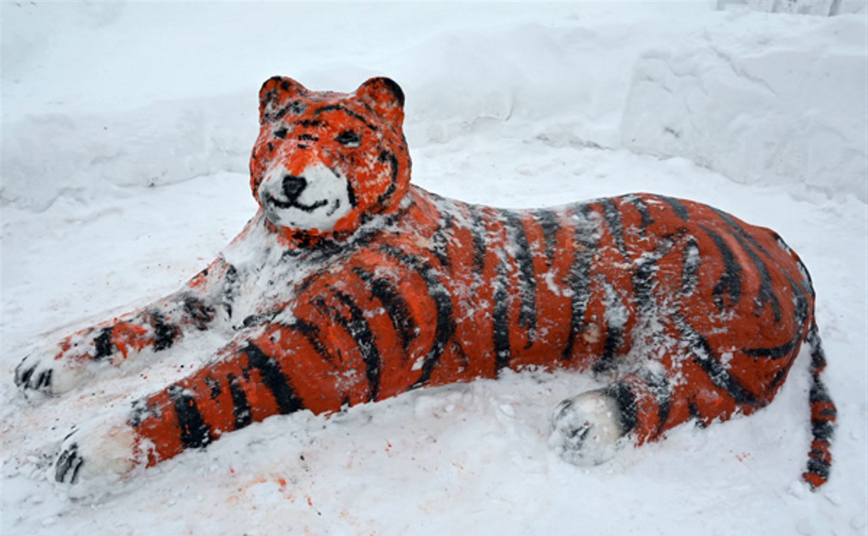 В сахалинских колониях появились тигры