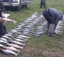Нелегальный рыбный бизнес планируют ликвидировать на Сахалине и Курилах