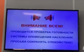 Общество