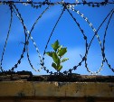 Мамам и беременным после колонии дадут деньги и помощь 