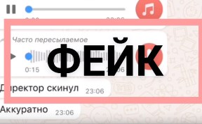 Общество