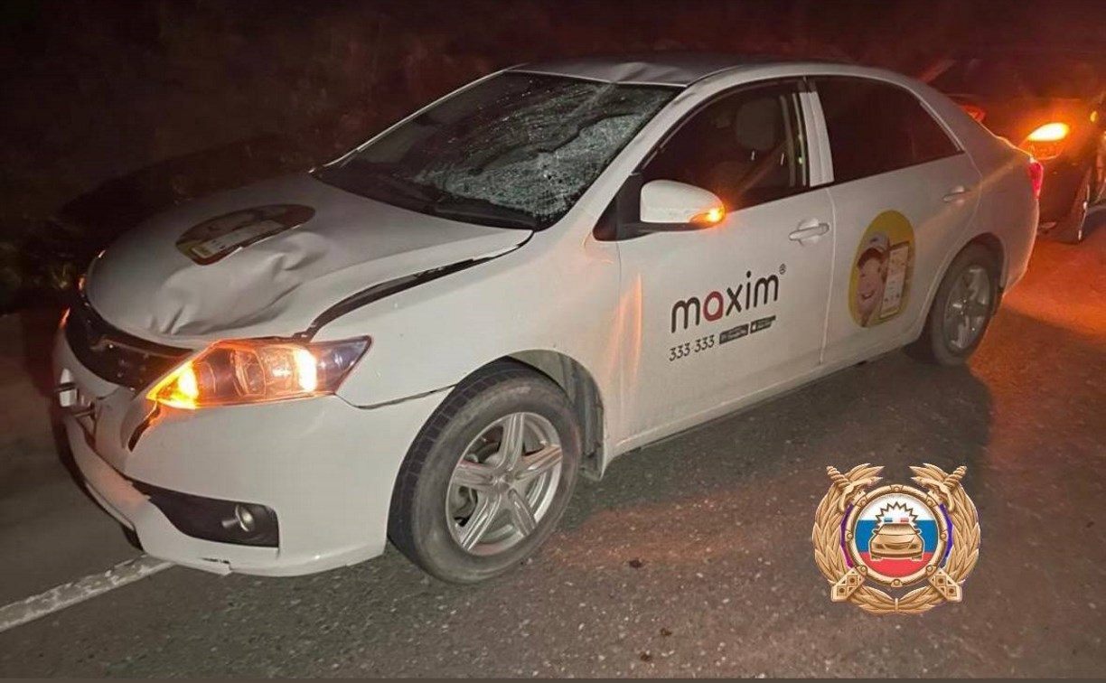 Лобовое в крошку: на ночной трассе на Сахалине таксист сбил человека, его увезли в больницу