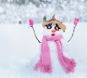 Только в двух районах снежно: какой будет погода на Сахалине и Курилах 3 марта