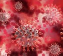 Профессор РАН: Россию ждет ещё одна вспышка коронавируса, возможно, это будет штамм "Цербер"