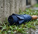Сахалинцы загорают, а курильчане - достают зонты: прогноз погоды на 22 июля