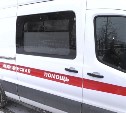 Искусали голову и тело: в следкоме озвучили детали дела о смерти сахалинки после нападения собак