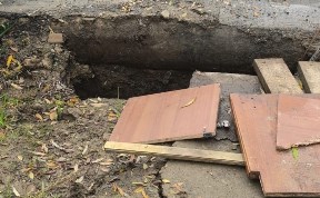 Общество
