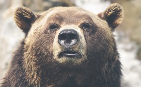 Происшествия