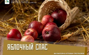 Культура