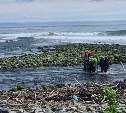 Школьники из Санкт-Петербурга исследовали качество воды на Курилах: результаты удивили