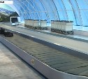 Авиаперевозчик забыл в Москве багаж пассажиров камчатского рейса