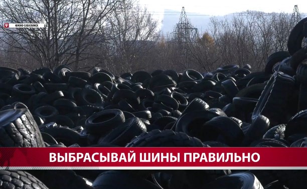 Сахалинцы массово выбрасывают старые шины вместо того, чтобы бесплатно сдать их в пункт приёма