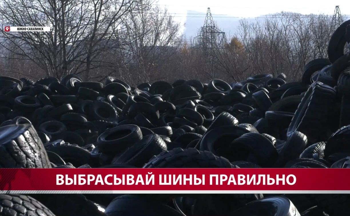 Сахалинцы массово выбрасывают старые шины вместо того, чтобы бесплатно сдать их в пункт приёма