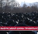 Сахалинцы массово выбрасывают старые шины вместо того, чтобы бесплатно сдать их в пункт приёма