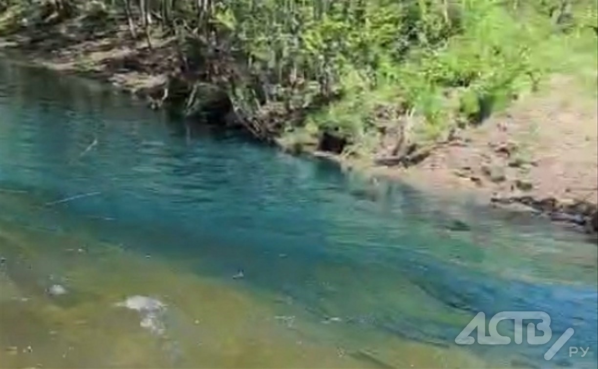 "Загрязнений нет, вода прозрачная": на Сахалине обследовали посиневшую реку