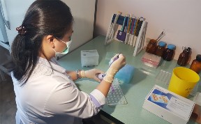 Бесплатную прививку от клещевого энцефалита сделают сахалинским детям