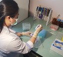 Бесплатную прививку от клещевого энцефалита сделают сахалинским детям