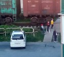 Школьников в Невельске застали за играми у движущихся вагонов на жд-переезде