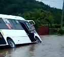  "Мы еле выбрались, но сумки потеряли": в Невельском районе из-за подтопления дороги завалился автобус 