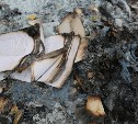 В Горнозаводске в пожаре погибли мужчина и женщина