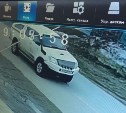 Сахалинцев просят помочь в поиске водителя, который скрылся с места ДТП
