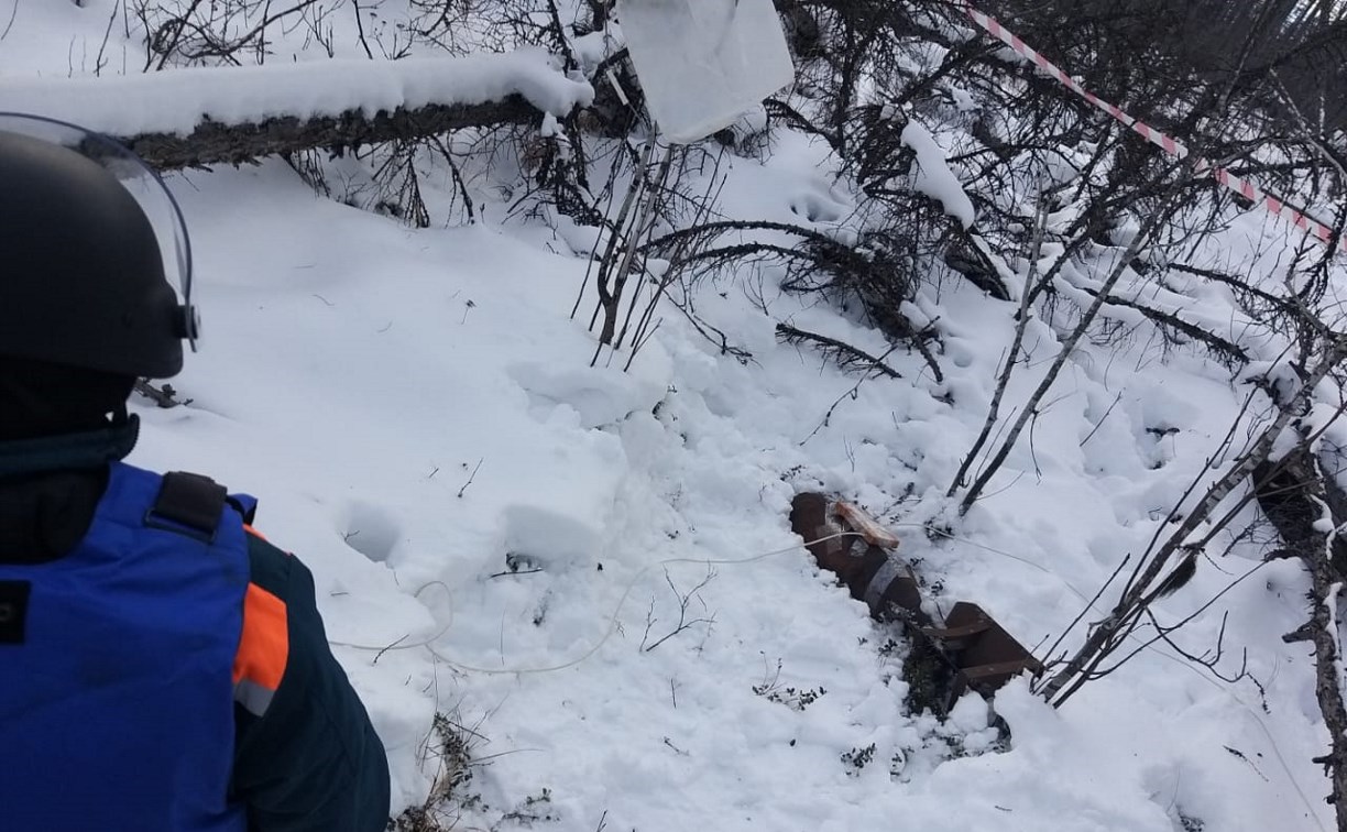 Авиабомбу уничтожили в лесу в Корсаковском районе