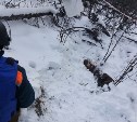 Авиабомбу уничтожили в лесу в Корсаковском районе