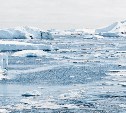 Выходить на лёд в заливе Мордвинова всё ещё опасно
