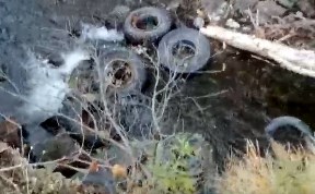 Общество