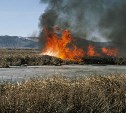 Пожарные потушили палы в Южно-Сахалинске и Холмске