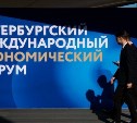 Сахалин на ПМЭФ-2025: курс на развитие, технологии и устойчивость
