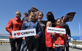 Первую в России площадку наблюдения за сивучами открыли в Невельске 