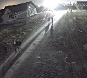 Подозрительные личности "исследуют" СНТ в Южно-Сахалинске - дачники бьют тревогу 