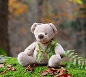 Плюшевые игрушки оказались грязнее унитаза: учёные бьют тревогу