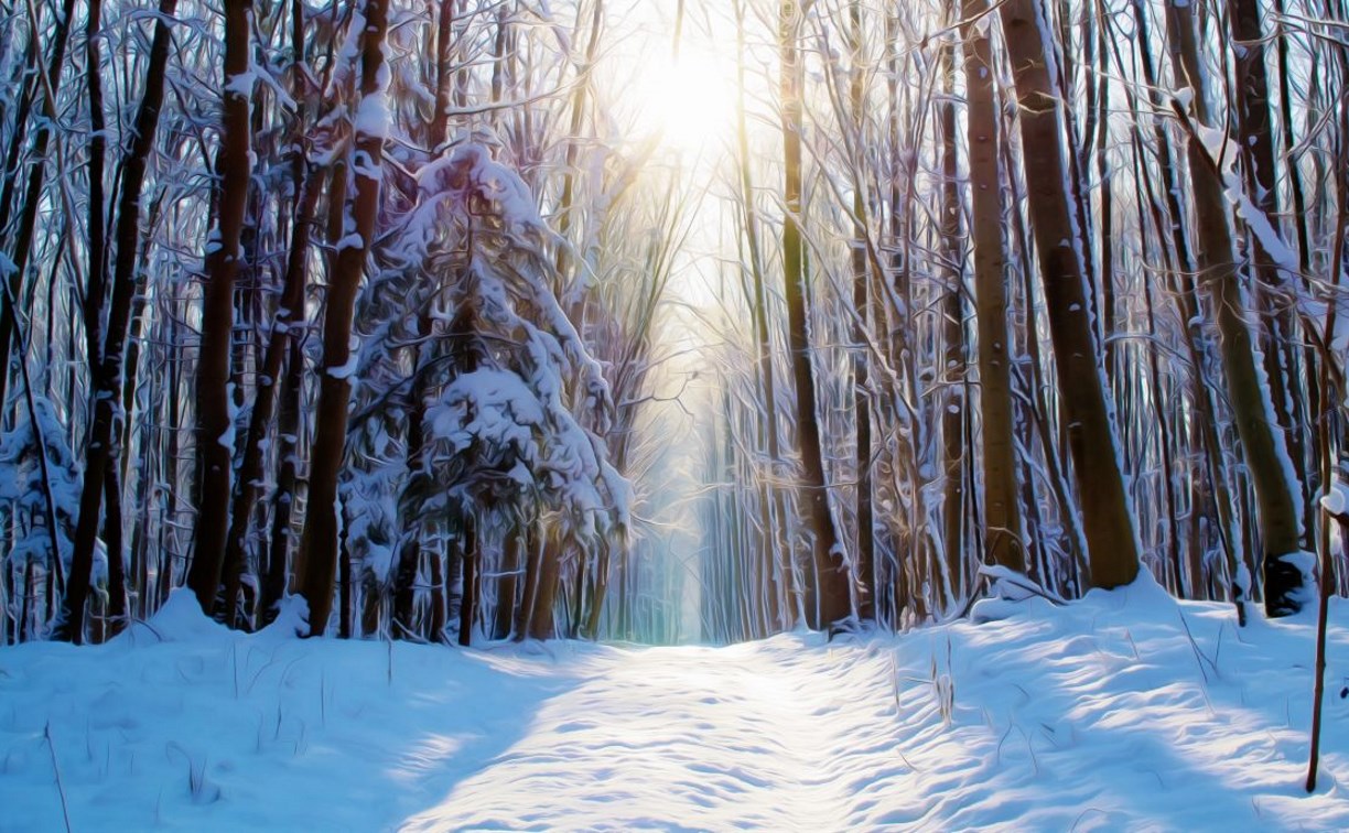 Мороз и солнце прогнозируют в Сахалинской области 19 февраля