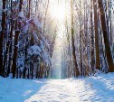 Мороз и солнце прогнозируют в Сахалинской области 19 февраля