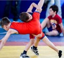 Областной фестиваль спортивной борьбы «Сахалинские Надежды» пройдет в Корсакове