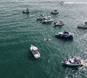 Экологи бьют тревогу: десятки катеров часами преследуют косаток на Камчатке