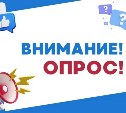 Жителям Невельска предлагают выбрать названия новых остановок