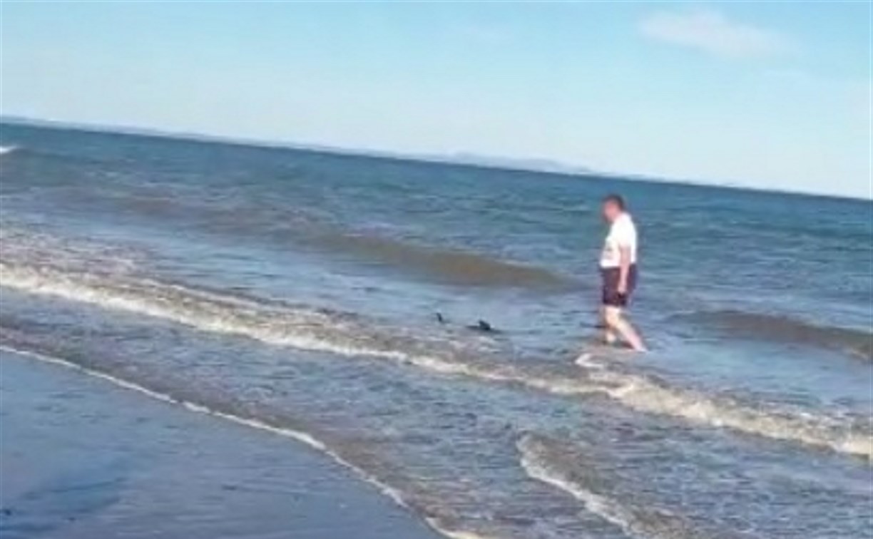 Отдыхающие на пляже в Таранае встретили китенка
