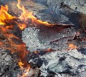 Третий труп нашли на пепелище в Углегорске