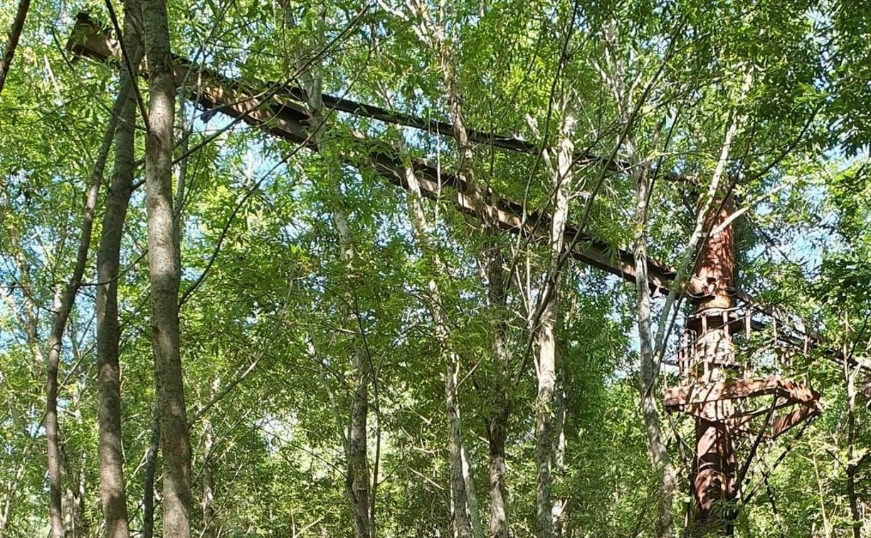 Сахалинец нашёл в глухом лесу огромный строительный кран