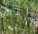 Сахалинец нашёл в глухом лесу огромный строительный кран