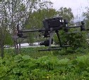 Уничтожать борщевик в Южно-Сахалинске будут дроны 