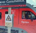 Метель остановила пригородные поезда в Южно-Сахалинске