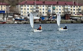 Спорт