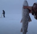Блогер рассказала о рыбалке на севере Сахалина и поделилась невероятными видами