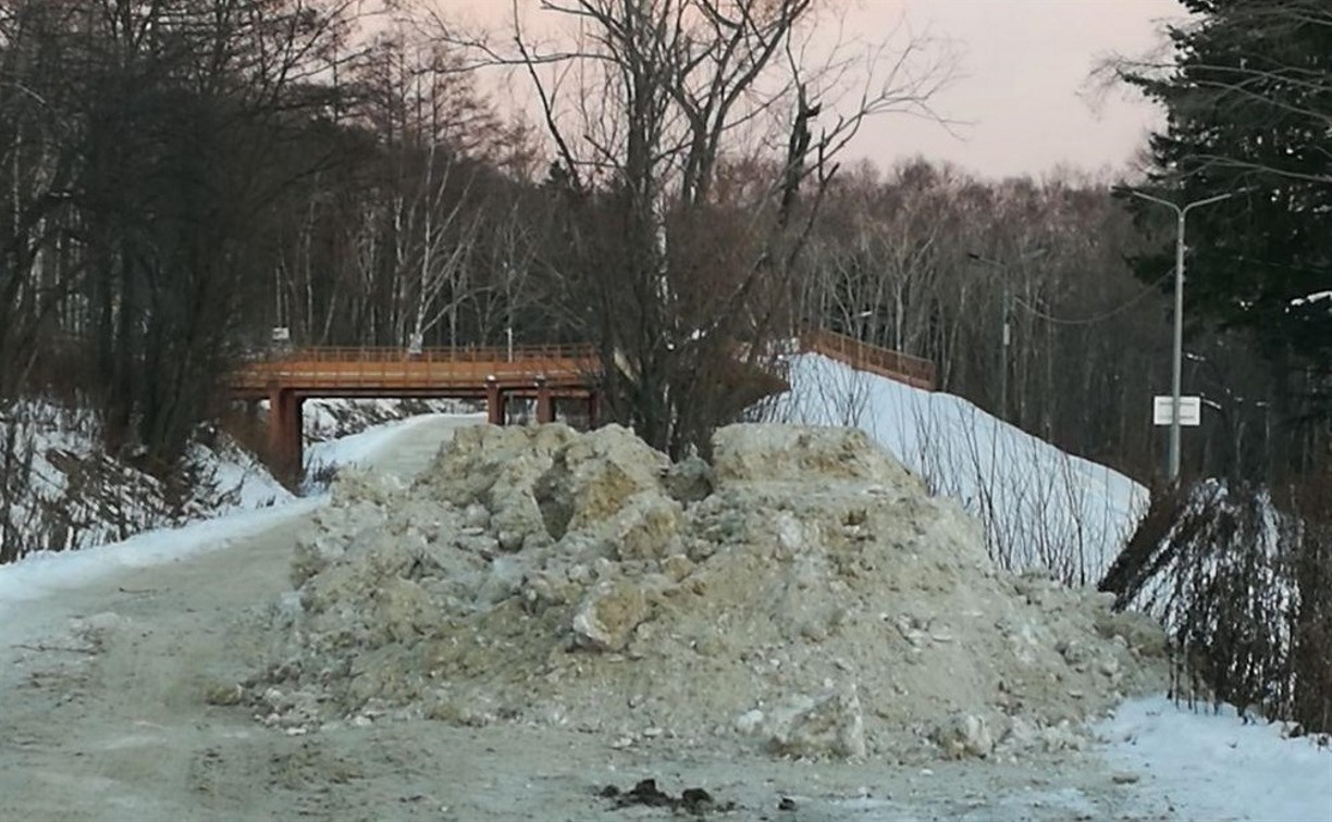 Власти Южно-Сахалинска накажут виновного за нелегальную свалку снега