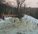 Власти Южно-Сахалинска накажут виновного за нелегальную свалку снега