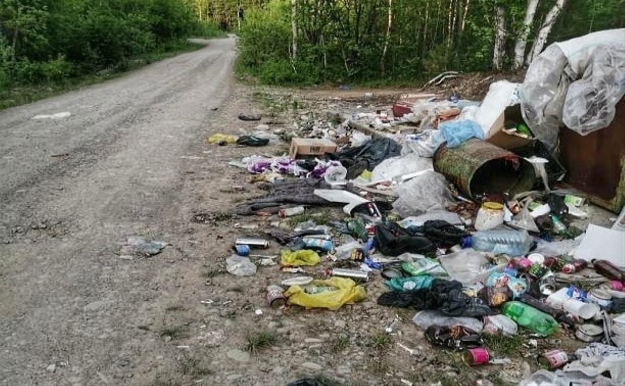 Поронайцы недовольны мусорными баками в лесу